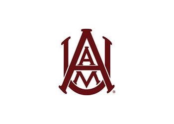 Alumnilogo aamu